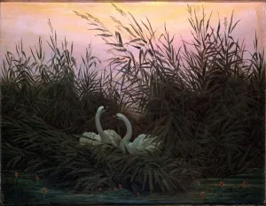 Caspar David Prints: Swans in the Reeds, c1794-c1831. Artist: Caspar David Friedrich