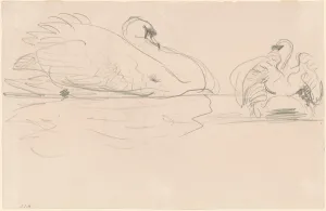 Sargent John Singer Prints: Swans in the Water, 1880-1900. Creator: John Singer Sargent