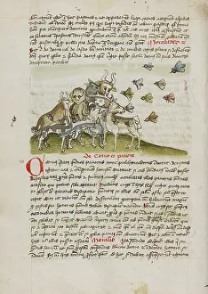 Canine Prints: A Swarm of Insects Flying above a Group of Animals; Fables