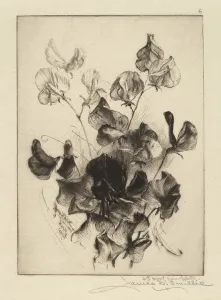 James D Smillie Prints: Sweet Peas, 1891. Creator: James David Smillie