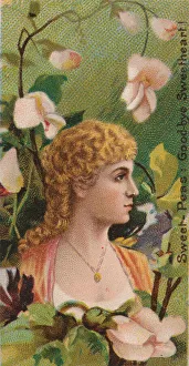 James Buchanan Duke Collection: Sweet-Peas: Goodbye Sweetheart!, from the series Floral Beauties and Language of Flowers