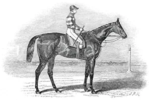 Sweetmeat, the winner of the Doncaster Plate, 1845. Creator: Unknown Sweetmeat, the winner of the Doncaster Plate, 1845. Creator: Unknown