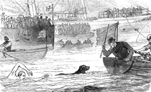 Competitive Prints: Swimming-match between a dog and a man, 1880. Creator: Unknown