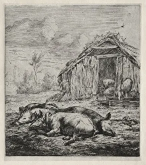Charles Meryon French Prints: Three Swine Lying in Front of a Sty, 1850. Creator: Charles Meryon (French, 1821-1868)