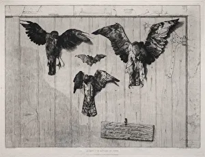1833 1914 Prints: The Top of the Swing-Door, 1852 (printed 1865). Creator: Felix Bracquemond (French