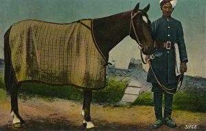 Tinted Prints: Syce, c1910
