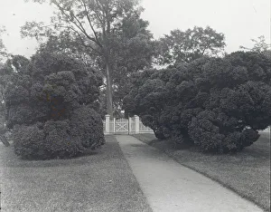 Lantern Slides 1910 1920 Gmgpc Prints: Sylvester Manor, Cornelia Horsford house
