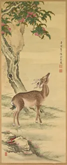Symbols of Longevity: Deer under Peach and Pine, 1801. Creator: Toda Tadanaka (Japanese