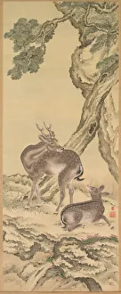 Pair Of Hanging Scrolls Prints: Symbols of Longevity: Deer under Peach and Pine (Peach) (left)