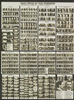 Identification Prints: Tableau synoptic des traits physionomiques: pour servir a l etude du