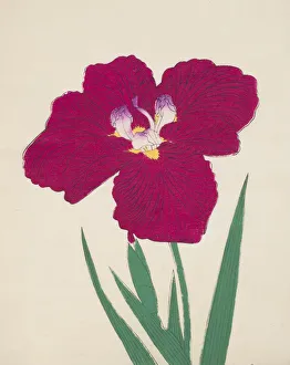 Clump Prints: Tai-Hei-Raku, No. 18, 1890, (colour woodblock print)