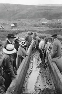 Gold Rush Prints: Taking gold from Chatanika, sluice-box, between c1900 and c1930. Creator: Unknown