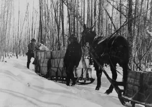 Provisions Prints: Taking a government load to Copper Center