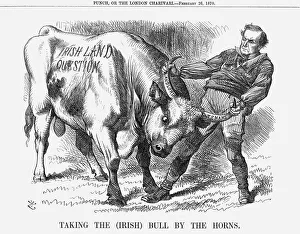 Taking the (Irish) Bull by the Horns, 1870. Artist: Joseph Swain Taking the (Irish) Bull by the Horns, 1870. Artist: Joseph Swain