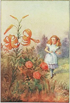 Sir John 1820 1914 Prints: We can talk, said the Tiger Lily, 1911. Creator: Tenniel, Sir John (1820-1914)