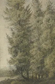 Anthony Waterloo Prints: Tall pines on the edge of a forest, 1619-1690. Creator: Anthonie Waterloo