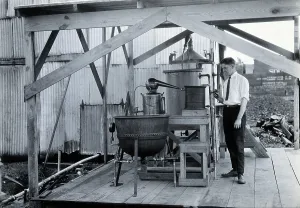 North American Prints: Tallulah laboratory, Louisiana, with one of the attendants, c1910s. Creator: Unknown