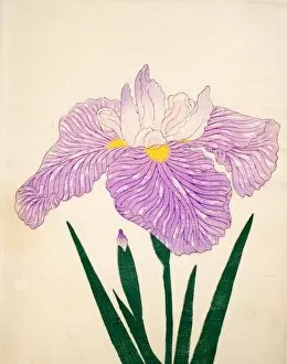 Tama-Usagi, No. 98, 1890, (colour woodblock print)