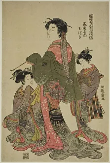 Models For Fashion Prints: Tamazusa of Iedaya, from the series Models for Fashion: New Designs as Fresh as