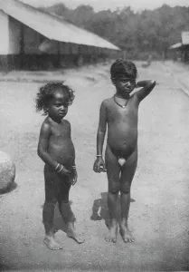 Alfred William Amandus Plate Gallery: Tamil Estate Children, c1890, (1910). Artist: Alfred William Amandus Plate