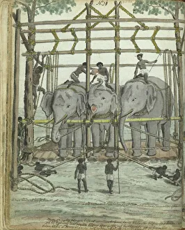 Brandes Jan Prints: Taming an elephant, 1785. Creator: Jan Brandes