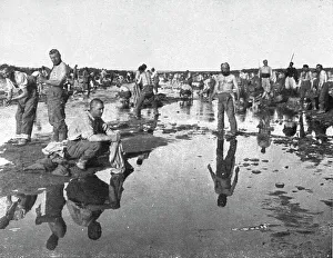 Algerian Prints: Tandis que;..et d'autres se baignent sous un chaud soleil