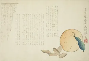 Biography Prints: Tangerine and Chinese Legend, Japan, spring 1871. Creator: Kosei