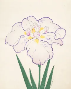 Clump Prints: Tanporo, No. 51, 1890, (colour woodblock print)