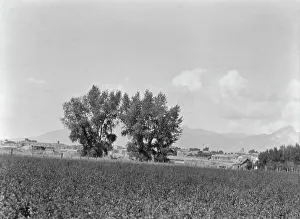 Pueblo Indian Prints: [Taos, New Mexico area views], between 1899 and 1928. Creator: Arnold Genthe