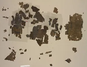 Taquete fragments with winged lions in roundels, 899-1160. Creator: Unknown