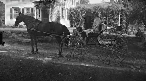 Horse And Trap Prints: Tarbell, Ida, Miss, with dog, in a horse-drawn wagon, 1912 or 1913. Creator: Arnold Genthe