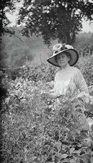 Sunhat Prints: Tarbell, Ida, Miss, in her garden, 1912 or 1913. Creator: Arnold Genthe