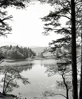 National Park Prints: Tarn Hows, Lake District, c1955. Creator: Arthur Charles Kirby Ware
