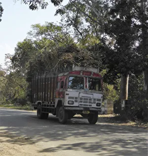 Tata truck with heavy load, India. Creator: Unknown