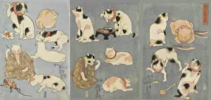 Utagawa 1797 1861 Prints: Tatoe zukushi no uchi (Illustrated Proverbs with Cats)