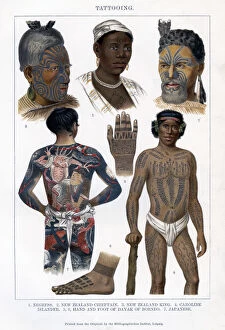 Sea Dayaks Gallery: Tattooing, 1800-1900
