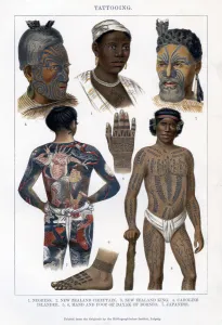 Sea Dayak Prints: Tattooing, 1800-1900