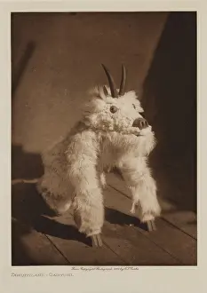 Crouching Prints: Tawihyilahl, Qagyuhl, 1914. Creator: Edward Sheriff Curtis