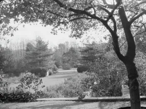 Taylor, Myron C. Mr. residence and grounds, Locust Valley, Long Island, New York, 1928 Nov. Creator: Arnold Genthe