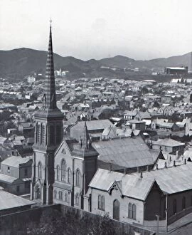 Wellington Collection: Te Aro, from Terrace, Wellington, late 19th-early 20th century. Creator: Unknown