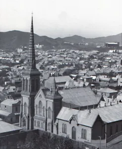 North Island Prints: Te Aro, from Terrace, Wellington, late 19th-early 20th century. Creator: Unknown