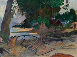 Tree Trunk Gallery: Te burao (The Hibiscus Tree), 1892. Creator: Paul Gauguin