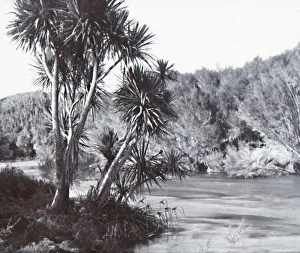 Te Waihou River, Okoroire, late 19th-early 20th century. Creator: Unknown