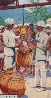 Tea Leaves Gallery: Tea, 2. - Weighing the Pickings, Ceylon, 1928