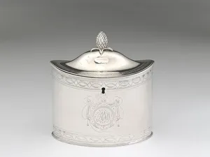 Tea Caddy Prints: Tea Caddy, c. 1802. Creator: Ward, Bartholomew & Trott