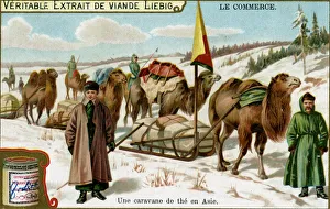 A tea caravan in Asia, c1900