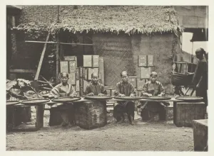 Tea-Picking in Canton, c. 1868. Creator: John Thomson
