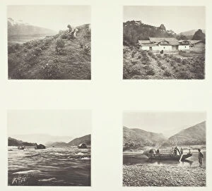 Tea Plant Gallery: The Tea Plant; The Tea Plant; Yenping Rapids; A Small Rapid Boat, c. 1868