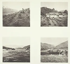 Collotype Prints: The Tea Plant; The Tea Plant; Yenping Rapids; A Small Rapid Boat, c. 1868