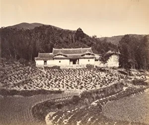 Tea Garden Prints: Teafield & Josshouse at Peling, ca. 1869. Creator: Attributed to Tung Hing